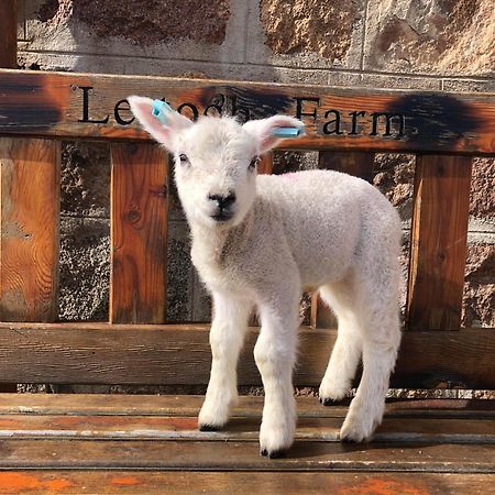 مبيت وإفطار دوفتاون Lettoch Farm المظهر الخارجي الصورة
